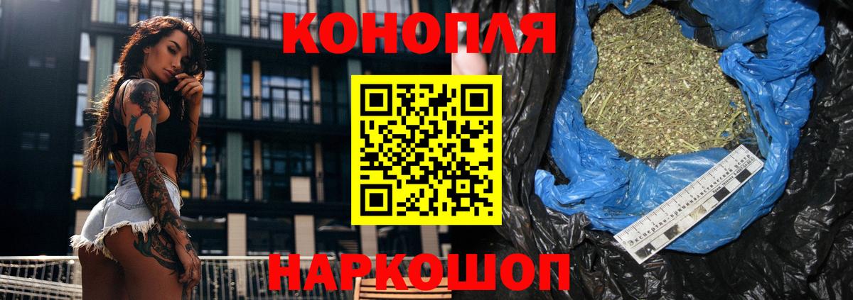 Шишки марихуана семена Приморско-Ахтарск